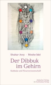 Cover von Der Dibbuk im Gehirn