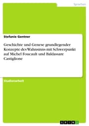 Cover von Geschichte und Genese grundlegender Konzepte des Wahnsinns mit Schwerpunkt auf Michel Foucault und Baldassare Castiglione