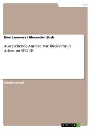 Cover von Ausreichende Anreize zur Rückkehr in Arbeit im SBG II?