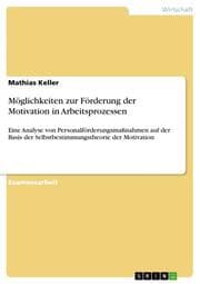 Cover von Möglichkeiten zur Förderung der Motivation in Arbeitsprozessen