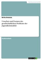 Cover von Ursachen und Formen des gesellschaftlichen Problems der Jugendkriminalität