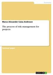 Cover von The process of risk management for projects
