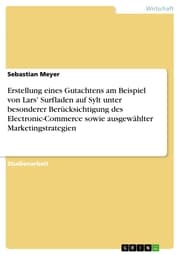 Cover von Erstellung eines Gutachtens am Beispiel von Lars' Surfladen auf Sylt unter besonderer Berücksichtigung des Electronic-Commerce sowie ausgewählter Marketingstrategien