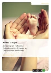 Cover von Businessplan Hebamme. Gründung einer Existenz als freiberufliche Hebamme