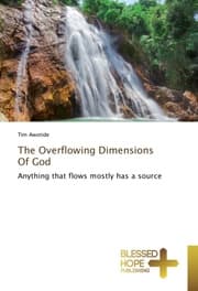 Cover von The Overflowing Dimensions Of God