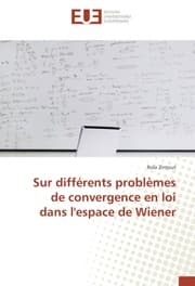 Cover von Sur différents problèmes de convergence en loi dans l'espace de Wiener
