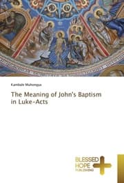 Cover von The Meaning of John's Baptism in Luke-Acts