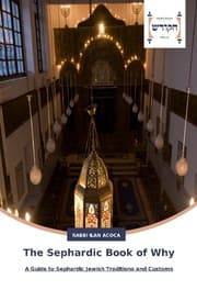 Cover von The Sephardic Book of Why