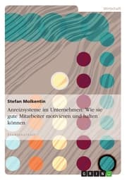 Cover von Anreizsysteme im Unternehmen: Wie sie gute Mitarbeiter motivieren und halten können