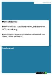 Cover von Das Verhältnis von Motivation, Information & Verarbeitung