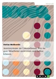 Cover von Anreizsysteme im Unternehmen - ein Überblick