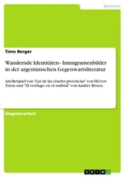 Cover von Wandernde Identitäten - Immigrantenbilder in der argentinischen Gegenwartsliteratur