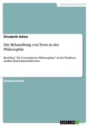 Cover von Die Behandlung von Trost in der Philosophie