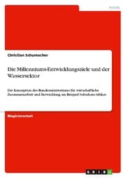 Cover von Die Millenniums-Entwicklungsziele und der Wassersektor