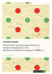Cover von Immaterielle Vermögensgegenstände des Anlagevermögens nach dem Bilanzrechtsmodernisierungsgesetz (BilMoG)