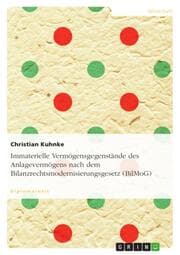 Cover von Immaterielle Vermögensgegenstände des Anlagevermögens nach dem Bilanzrechtsmodernisierungsgesetz (BilMoG)