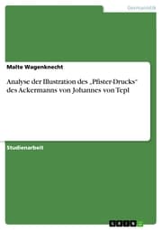 Cover von Analyse der Illustration des 'Pfister-Drucks' des Ackermanns von Johannes von Tepl