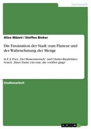 Cover von Die Faszination der Stadt: zum Flaneur und der Wahrnehmung der Menge