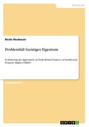 Cover von Problemfall Geistiges Eigentum