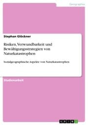 Cover von Risiken, Verwundbarkeit und Bewältigungsstrategien von Naturkatastrophen