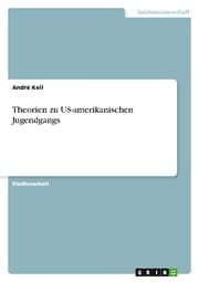 Cover von Theorien zu US-amerikanischen Jugendgangs