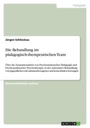 Cover von Die Behandlung im pädagogisch-therapeutischen Team
