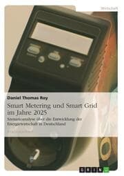 Cover von Smart Metering und Smart Grid im Jahre 2025