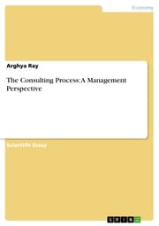 Cover von The Consulting Process: A Management Perspective