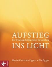 Cover von Aufstieg ins Licht