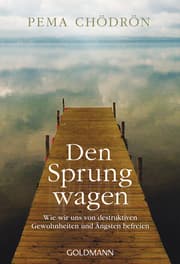 Cover von Den Sprung wagen