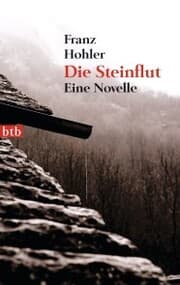 Cover von Die Steinflut