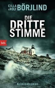 Cover von Die dritte Stimme