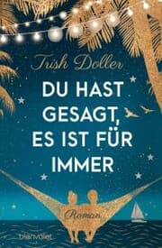 Cover von Du hast gesagt, es ist für immer
