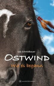 Cover von Ostwind - Wie es begann