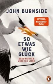 Cover von So etwas wie Glück