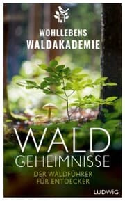 Cover von Waldgeheimnisse