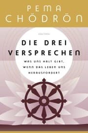 Cover von Die drei Versprechen. Was uns Halt gibt, wenn das Leben uns herausfordert