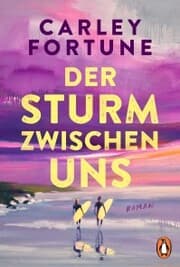 Cover von Der Sturm zwischen uns