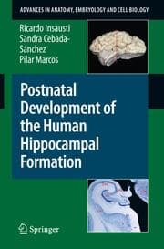 Cover von Postnatal Development of the Human Hippocampal Formation