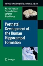 Cover von Postnatal Development of the Human Hippocampal Formation