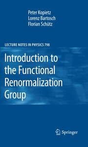 Cover von Introduction to the Functional Renormalization Group