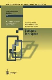 Cover von Surfaces in 4-Space