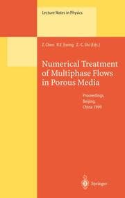 Cover von Numerical Treatment of Multiphase Flows in Porous Media