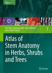 Cover von Atlas of Stem Anatomy in Herbs, Shrubs und Trees 1
