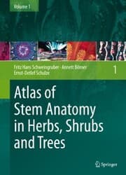 Cover von Atlas of Stem Anatomy in Herbs, Shrubs and Trees