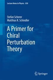 Cover von A Primer for Chiral Perturbation Theory