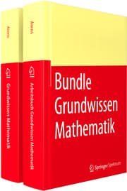 Cover von Grundwissen Mathematikstudium