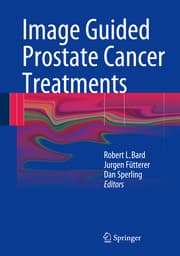 Cover von Image Guided Prostate Cancer Treatments