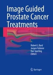 Cover von Image Guided Prostate Cancer Treatments