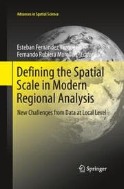 Cover von Defining the Spatial Scale in Modern Regional Analysis
